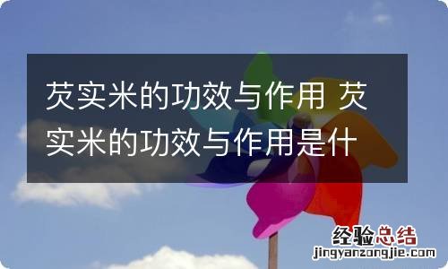 芡实米的功效与作用 芡实米的功效与作用是什么