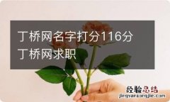 丁桥网名字打分116分 丁桥网求职