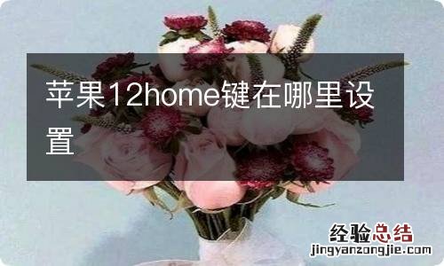 苹果12home键在哪里设置