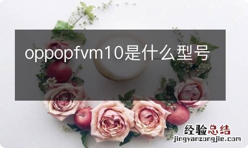 oppopfvm10是什么型号