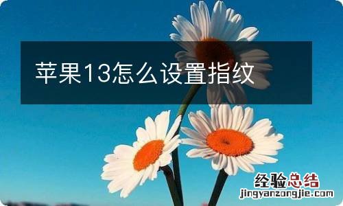 苹果13怎么设置指纹