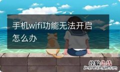 手机wifi功能无法开启怎么办