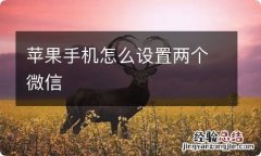 苹果手机怎么设置两个微信