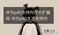 华为p40支持内存卡扩展吗 华为p40支不支持内存卡扩展