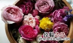 玫瑰花干花保存方法视频 玫瑰花干花保存方法