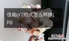 佳能cr2格式怎么转换jpg