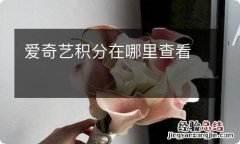 爱奇艺积分在哪里查看