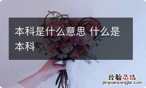 本科是什么意思 什么是本科