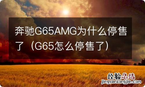 G65怎么停售了 奔驰G65AMG为什么停售了