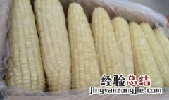 冷冻玉米可以直接煮吗 冷冻玉米可以直接放在锅煮吗