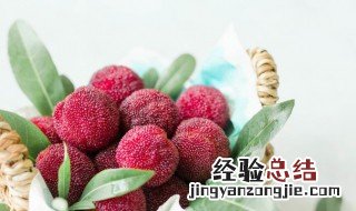 糖水杨梅的保存方法和时间 糖水杨梅的保存方法