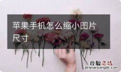 苹果手机怎么缩小图片尺寸