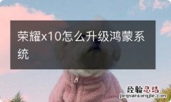 荣耀x10怎么升级鸿蒙系统