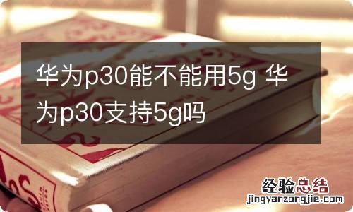 华为p30能不能用5g 华为p30支持5g吗