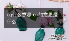 cq什么意思 cq的意思是什么