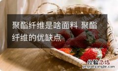 聚酯纤维是啥面料 聚酯纤维的优缺点