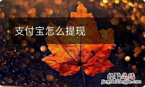 支付宝怎么提现