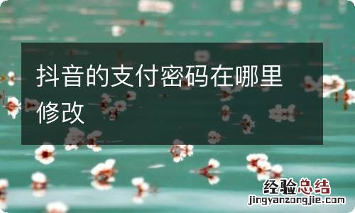 抖音的支付密码在哪里修改