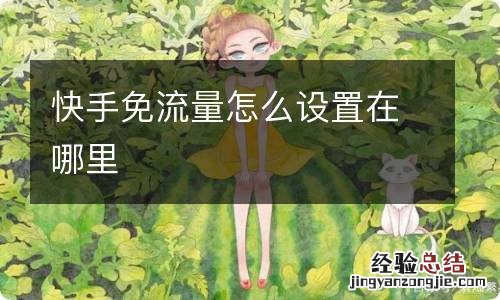 快手免流量怎么设置在哪里