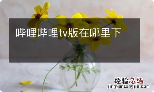 哔哩哔哩tv版在哪里下