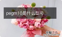 pegm10是什么型号