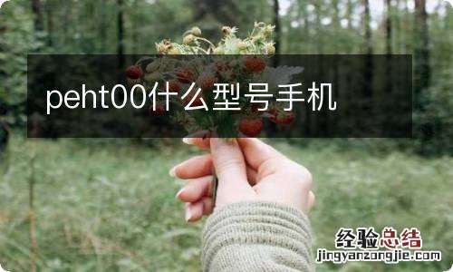 peht00什么型号手机