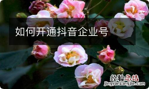 如何开通抖音企业号