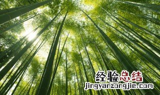 卧室窗台放什么植物风水最好最招财 窗台适合养什么植物 风水