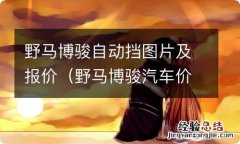 野马博骏汽车价格表 野马博骏自动挡图片及报价