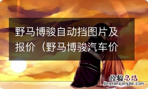 野马博骏汽车价格表 野马博骏自动挡图片及报价