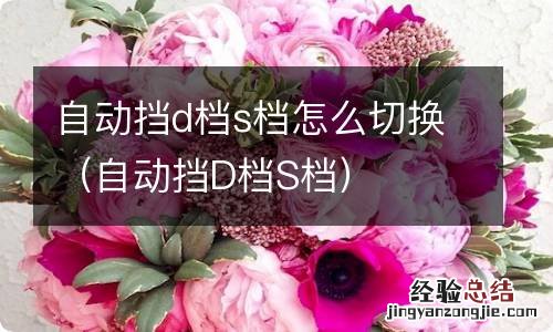 自动挡D档S档 自动挡d档s档怎么切换