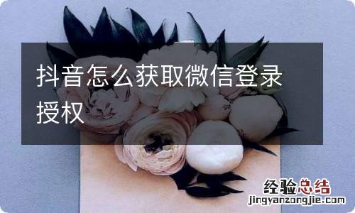 抖音怎么获取微信登录授权