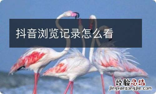 抖音浏览记录怎么看