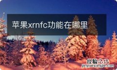 苹果xrnfc功能在哪里