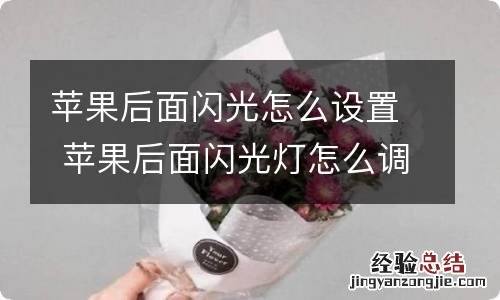 苹果后面闪光怎么设置 苹果后面闪光灯怎么调