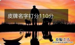 皮牌名字打分110分