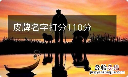 皮牌名字打分110分