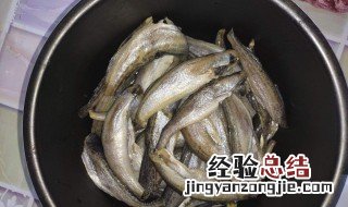 雷鱼的外形特征描写 雷鱼的外形特征