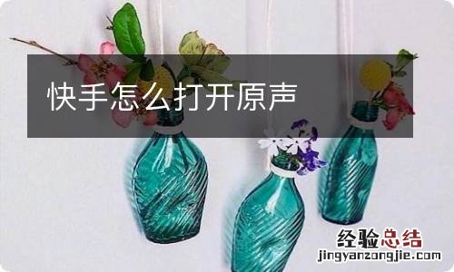 快手怎么打开原声