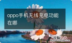 oppo手机无线充电功能在哪