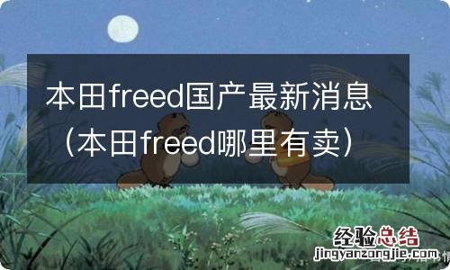 本田freed哪里有卖 本田freed国产最新消息