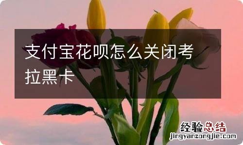 支付宝花呗怎么关闭考拉黑卡