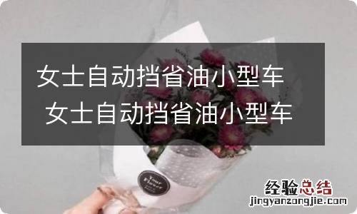 女士自动挡省油小型车 女士自动挡省油小型车有哪些