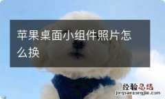 苹果桌面小组件照片怎么换