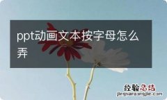 ppt动画文本按字母怎么弄