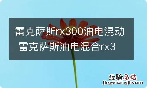 雷克萨斯rx300油电混动 雷克萨斯油电混合rx300h