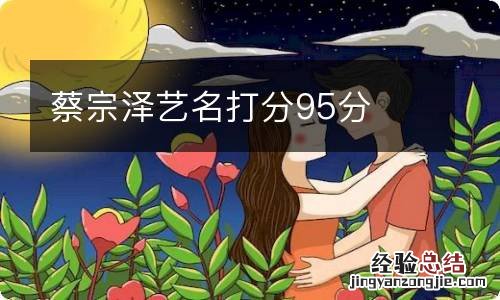 蔡宗泽艺名打分95分