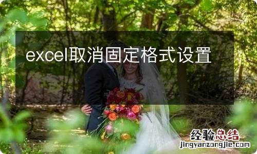 excel取消固定格式设置