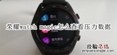 荣耀watch magic怎么查看压力数据