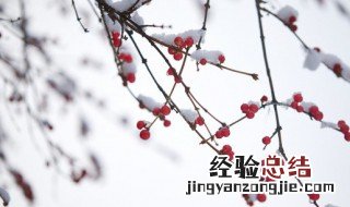 小雪发朋友圈的文字 小雪发朋友圈的语言